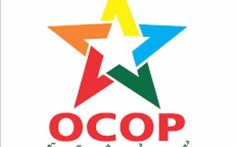 Phát triển sản phẩm OCOP thông qua Sàn thương mại điện tử