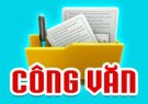 Công văn tăng cường thực hiện các biện pháp phòng, chống bệnh Dịch tả lợn Châu Phi 