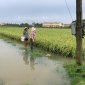 Công văn về việc tập trung ứng phó với nguy cơ sạt lở đất, ngập lụt cục bộ