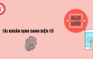 Tài khoản định danh điện tử là gì
