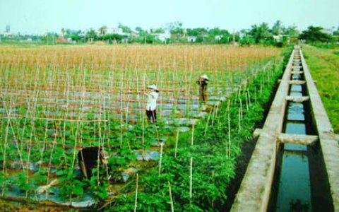 Xuân Trường, Thọ Xuân vượt khó để xây dựng nông thôn mới