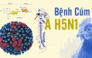 Công văn về việc triển khai quyết liệt, đồng bộ các giải pháp phòng chống dịch bệnh Cúm gia cầm trên địa bàn thị trấn