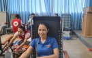THỊ TRẤN SAO VÀNG: THAM GIA HIẾN MÁU TÌNH NGUYỆN NĂM 2024