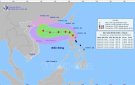 Công văn về việc khẩn trương triển khai ứng phó với bão số 3 năm 2024