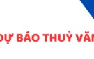 BẢN TIN CẬP NHẬT VÀ DỰ BÁO THỦY VĂN CÔNG TRÌNH HỒ CỬA ĐẠT