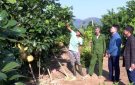 HIỆU QUẢ TỪ CÁC VƯỜN ĐẸP, TRANG TRẠI KIỂU MẪU TẠI THỌ XUÂN