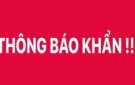 THÔNG BÁO KHẨN SỐ 27 CỦA BỘ Y TẾ
