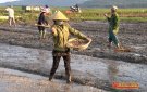 Bài tuyên truyền công tác sản xuất vụ chiêm xuân năm 2020-2021