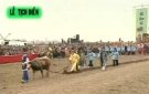 Lê Đại Hành Hoàng Đế và tục cày tịch điền