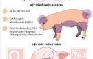 Hướng dẫn các biện pháp kỹ thuật phòng chống bệnh dịch tả lợn châu Phi