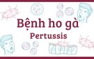 Bệnh ho gà: Nguyên nhân, triệu chứng, biến chứng và cách điều trị