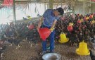CHUẨN BỊ CÁC ĐIỀU KIỆN BẢO VỆ VẬT NUÔI MÙA NẮNG NÓNG