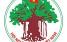 Ngày truyền thống Người cao tuổi Việt Nam 6/6