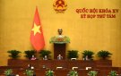 Kết quả kỳ họp thứ 8, Quốc hội khoá XV