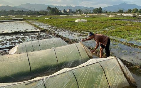 Tuyên truyền Công tác sản xuất vụ Chiêm xuân năm 2022-2023