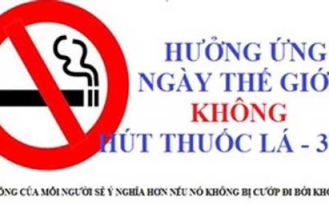 HƯỞNG ỨNG NGÀY THẾ GIỚI KHÔNG THUỐC LÁ 31/5, TUẦN LỄ QUỐC GIA KHÔNG THUỐC LÁ 25 - 31/5/2024   