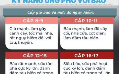 KHẨN CẤP: ỨNG PHÓ VỚI SIÊU BÃO YAGI